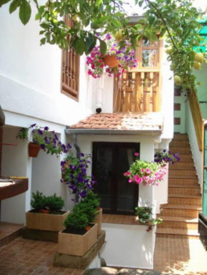 Apartamentos Flor de Luna